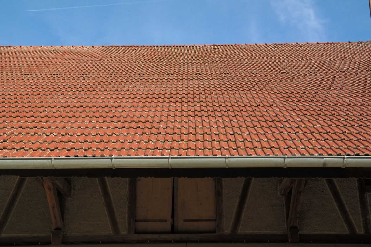 Comparing Flat and Pitched Roof Solutions: Which is Right for Your Project?